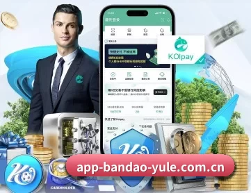 半岛体育 APP 深度功能